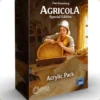 Agricola: Akrylowe elementy - zestaw 5. i 6. gracza