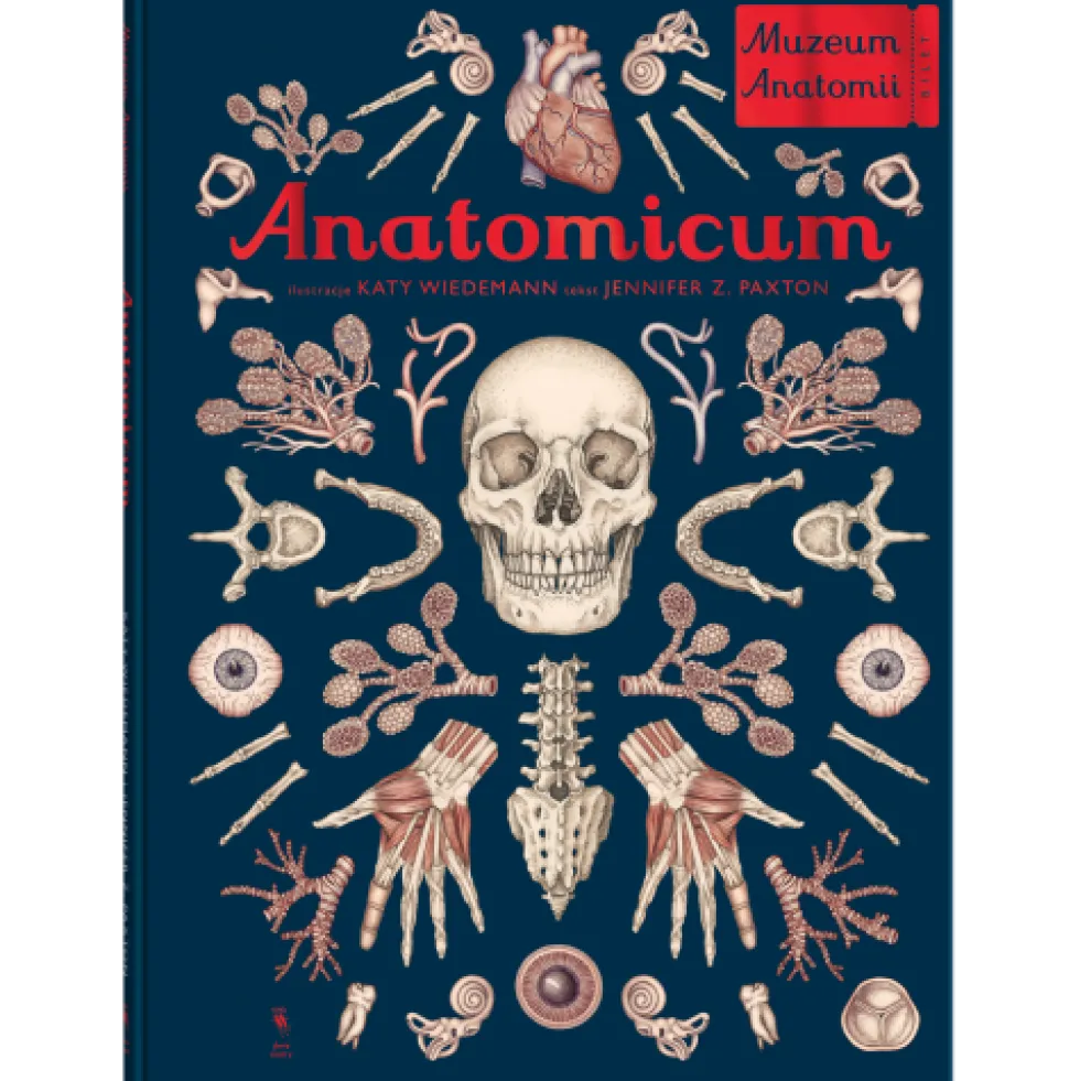 Anatomicum. Muzeum Anatomii