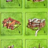Carcassonne: Holenderskie i belgijskie klasztory - mini dodatek (1. edycja)