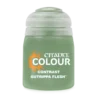 Citadel Contrast: Gutrippa Flesh (18ml)