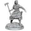 D&D RPG: Nolzurs Marvelous Miniatures - Human Fighters