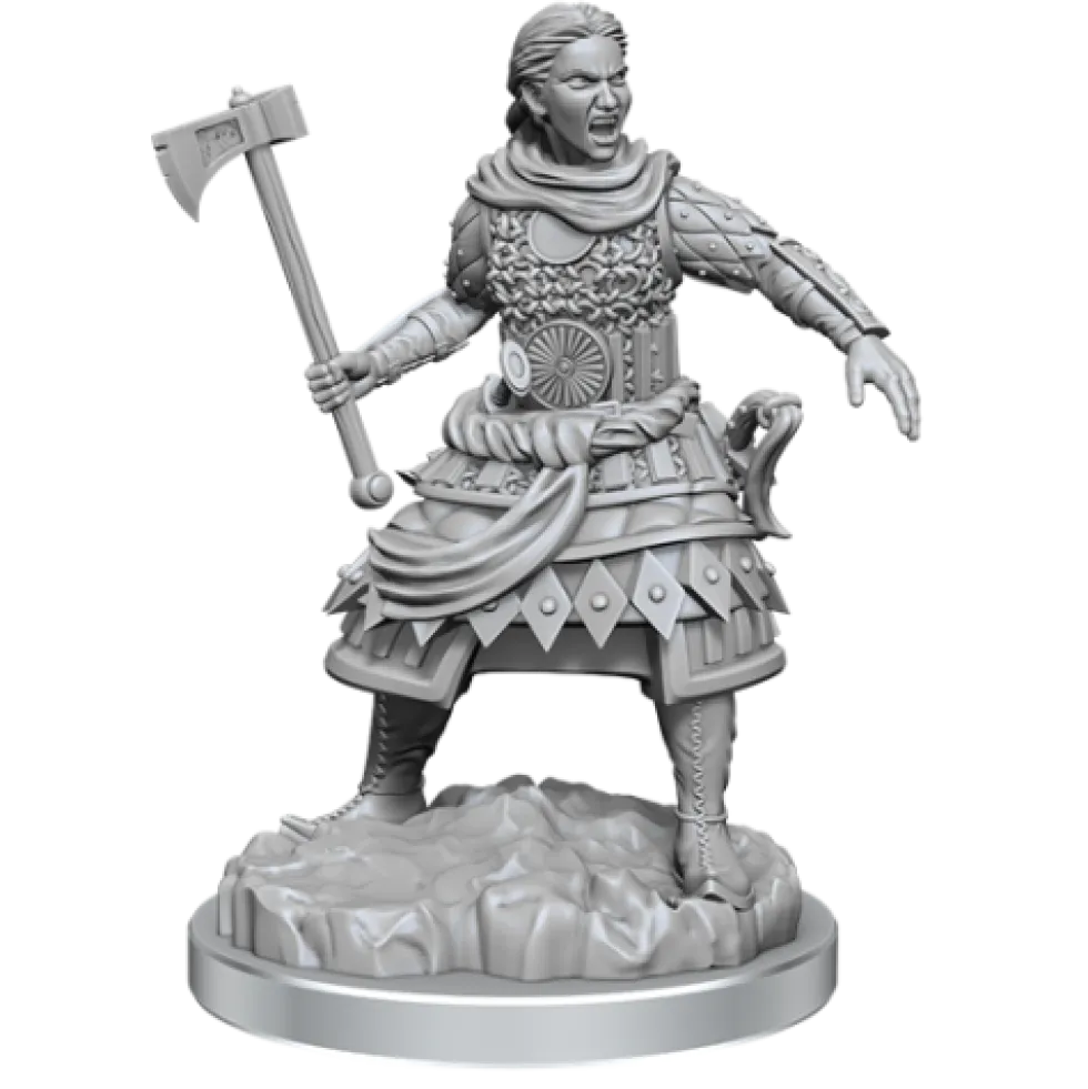 D&D RPG: Nolzurs Marvelous Miniatures - Human Fighters