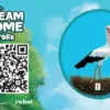 Domek: Promo żeton – Bocian