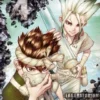 Dr Stone - tom 12
