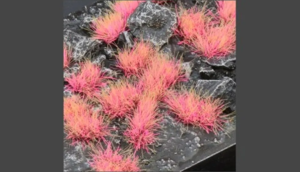 Gamer's Grass Alien Pink (6mm)