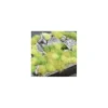 Gamer's Grass Green Meadows Set