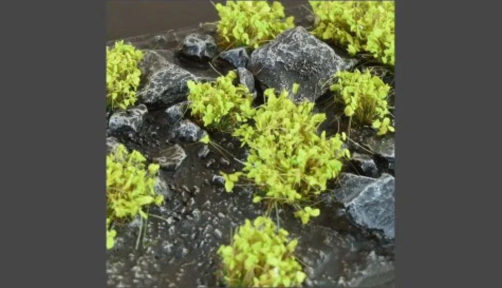 Gamer's Grass Green Shrubs Wild (6mm)