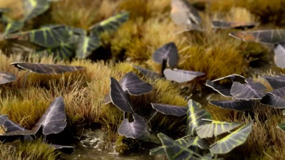 Gamer's Grass: Laser Plants - Black Magic Taro (Kolokazja Black Magic)
