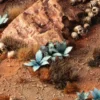Gamers Grass: Laser Plants - Blue Agave