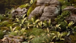 Gamer's Grass: Laser Plants - Deer Fern (Podrzeń żebrowiec)
