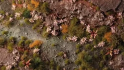 Gamers Grass: Pink Orchid Tiny Flowers (4 mm)