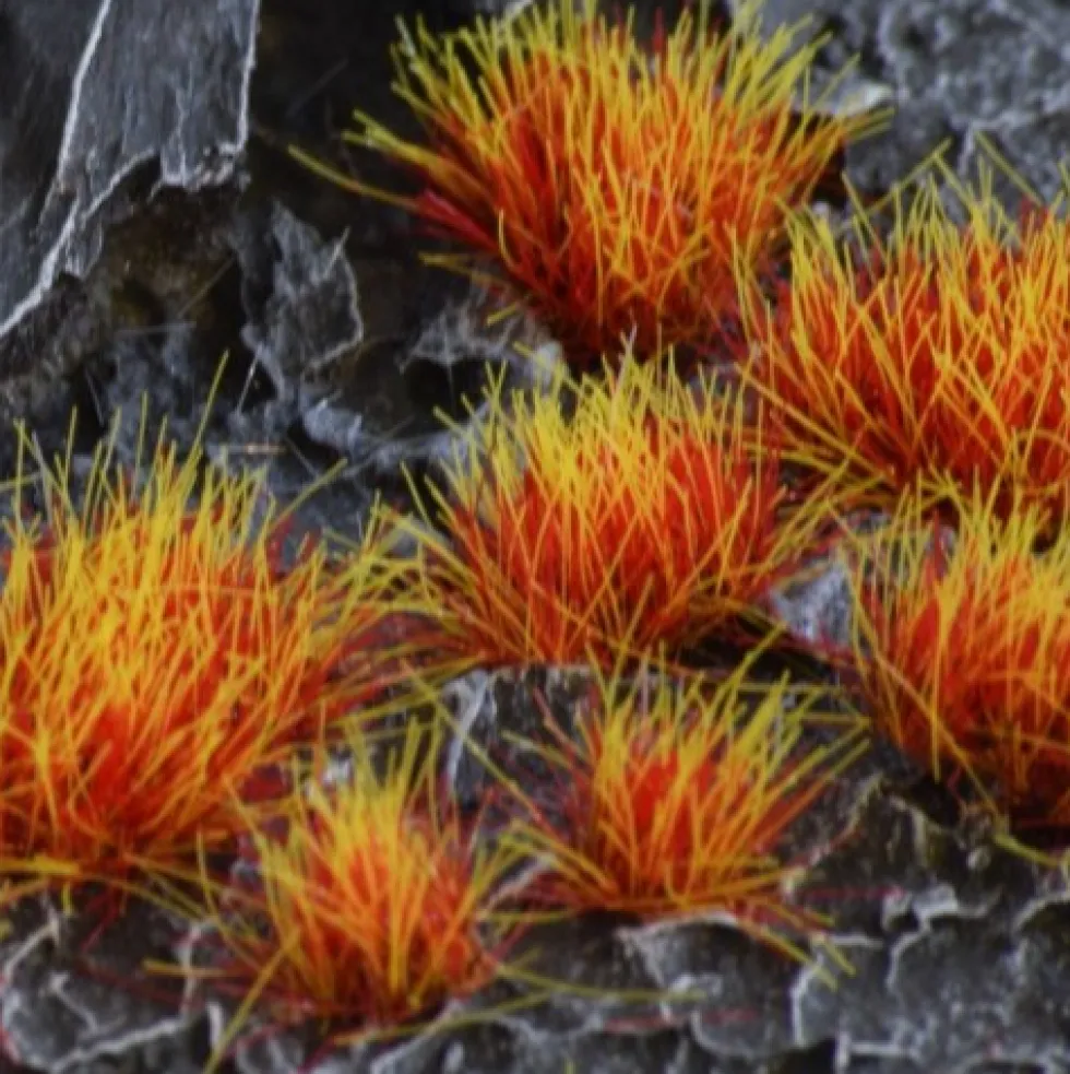 Gamer's Grass: Special tufts - Alien Fire Tuft Wild (6 mm)