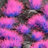 Gamer's Grass Special tufts - Alien Neon Wild (4 mm)