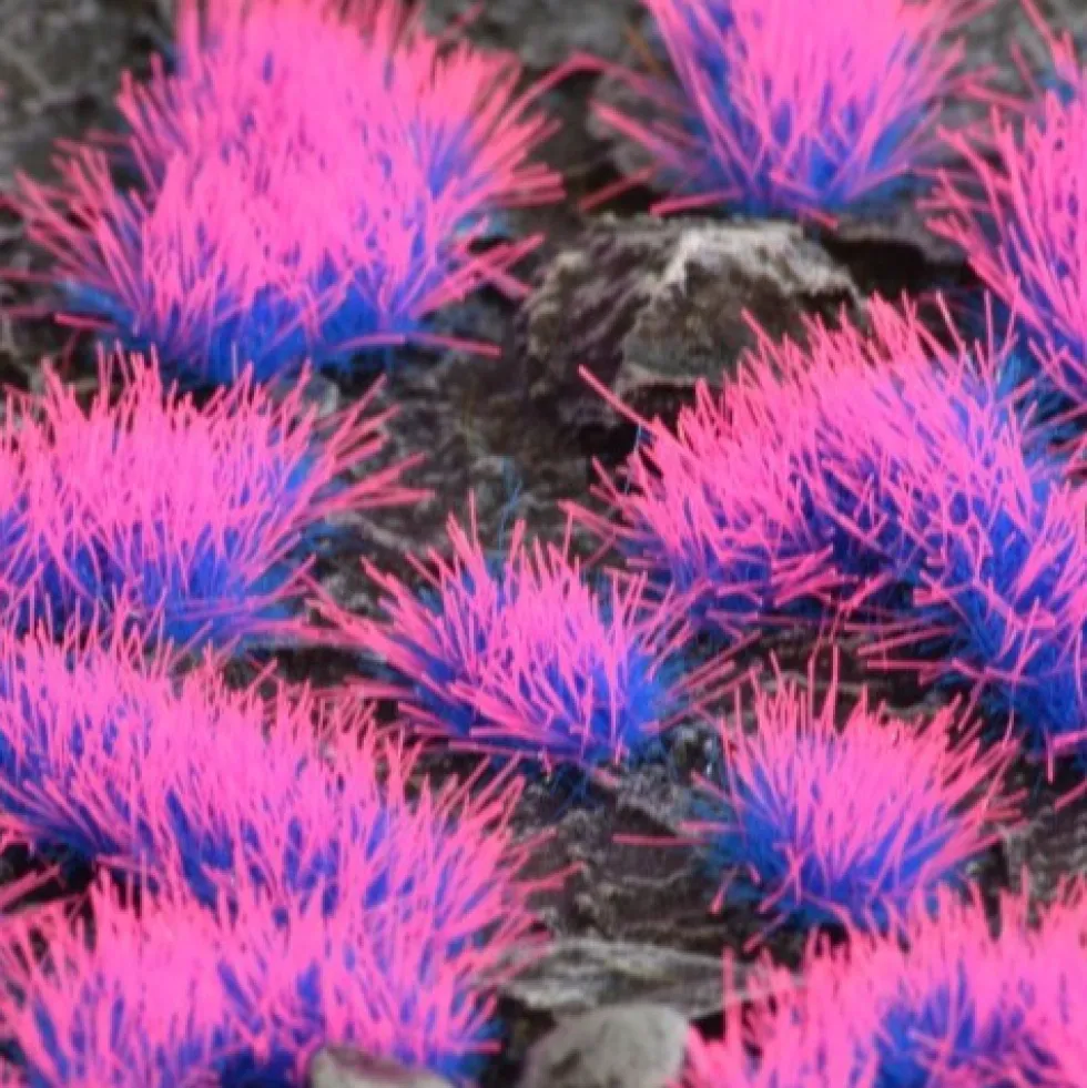 Gamer's Grass Special tufts - Alien Neon Wild (4 mm)