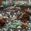 Gamers Grass: Tiny Tufts - Tiny Pale Teal (1mm)