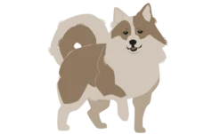 Greenland: Promo Pack 1 - Cats and Dogs