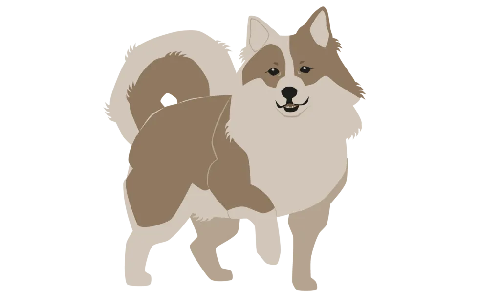 Greenland: Promo Pack 1 - Cats and Dogs