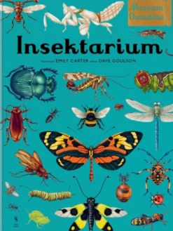 Insektarium. Muzeum Owadów