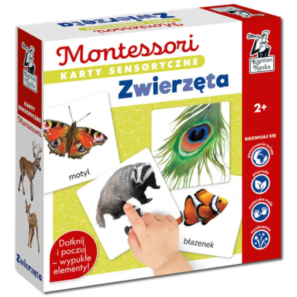 Kapitan Nauka Montessori: karty sensoryczne - Zwierzęta 2+