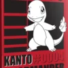 Klaser Ultra-Pro: Pokémon 9-Pocket Portfolio - Charmander