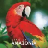 Life of the Amazonia
