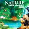 Nature: Module 5 - Amazon Rainforest