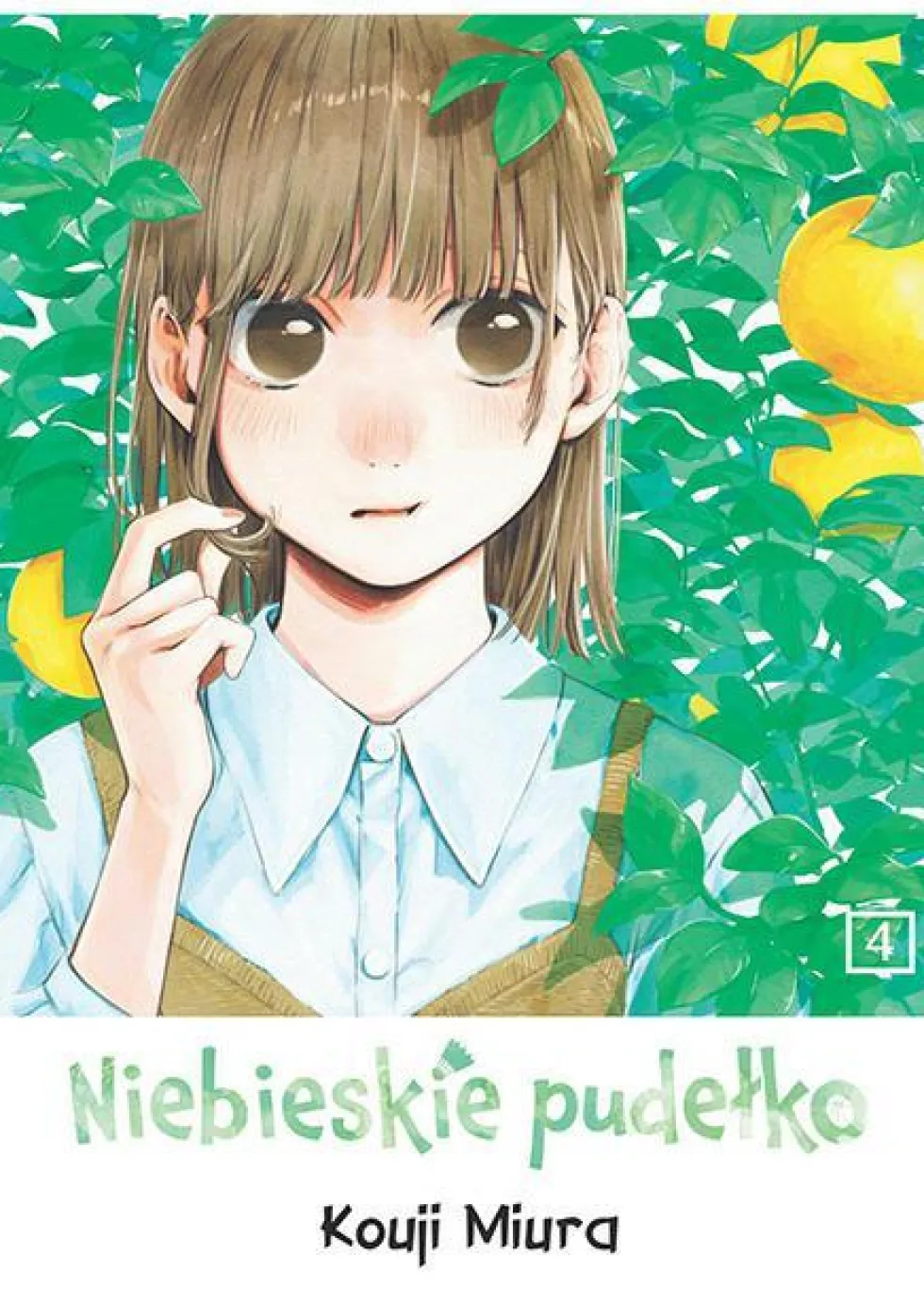 Niebieskie pudełko - tom 4