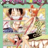 One Piece - tom 9