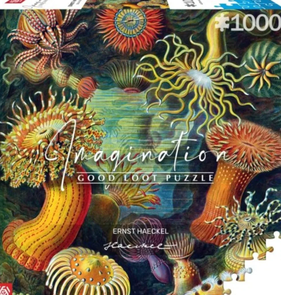 Puzzle 1000 Ernst Haeckel: Stworzenia morskie