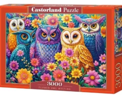 Puzzle 3000 Flower Owl Meeting