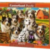 Puzzle 1000 Happy Dogs In The Countryside