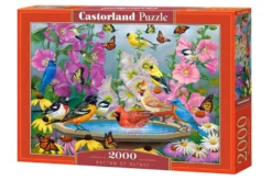 Puzzle 2000 Rhythm of Nature