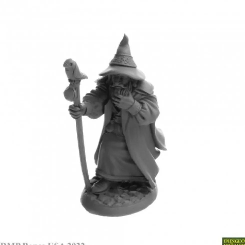 Reaper Miniatures: Landol Griwsold - Human Wizard