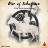 Small Samurai Empires: Rise of Tokugawa