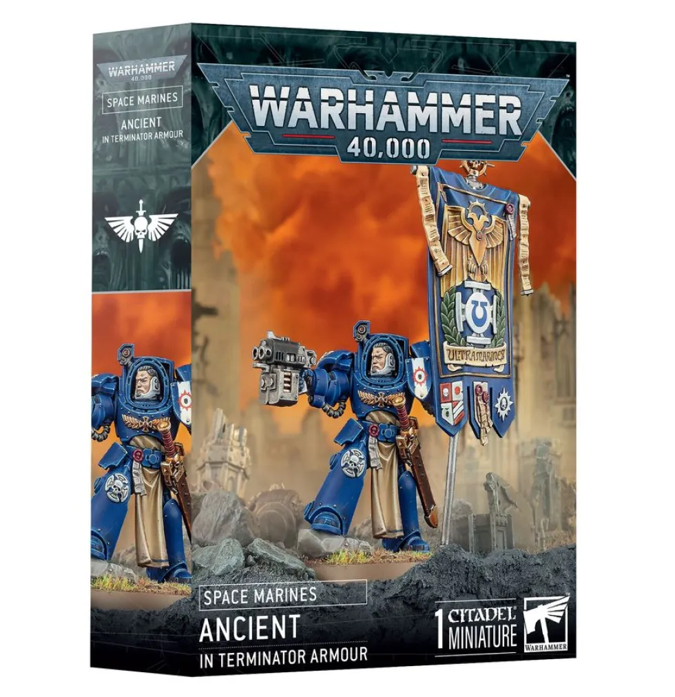Space Marines: Ancient in Terminator Armour (Warhammer 40,000)