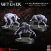 The Witcher RPG: Necrophages 3 - Grave Hag