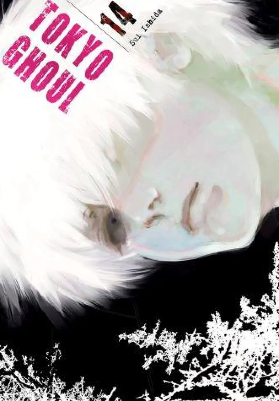 Tokyo Ghoul - tom 14