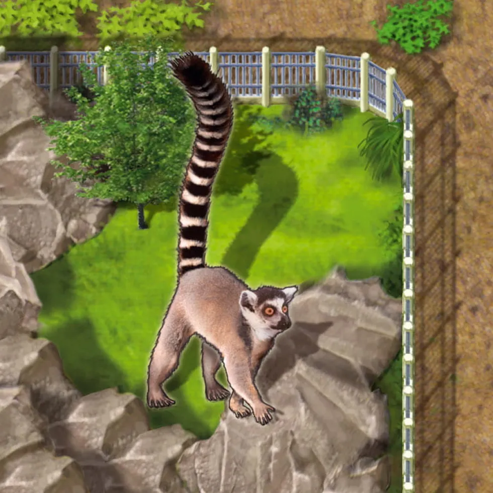 Zooloretto: dodatek Lemur (edycja międzynarodowa)